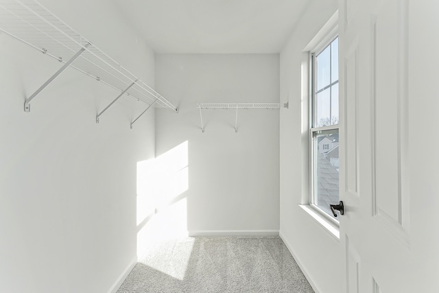 spacious closet with carpet floors