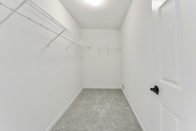 walk in closet with light colored carpet