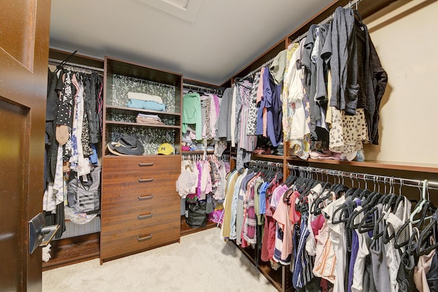 walk in closet featuring carpet flooring