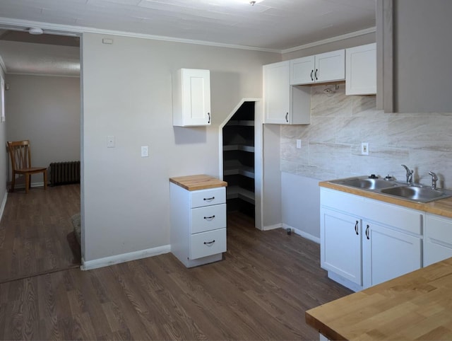 kitchen featuring dark wood-style flooring, crown molding, radiator, a sink, and butcher block countertops