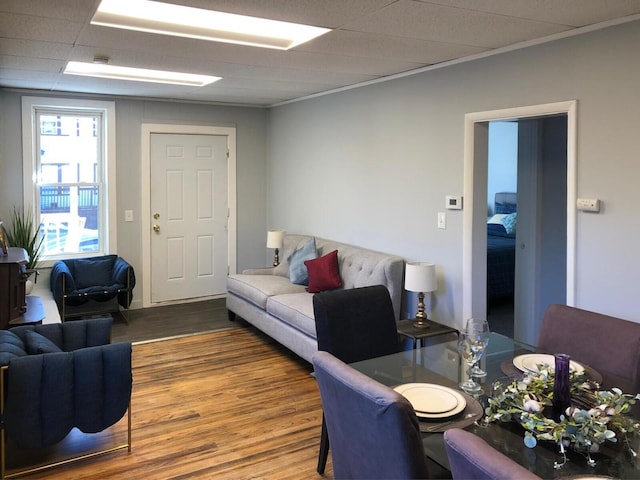 living area featuring wood finished floors