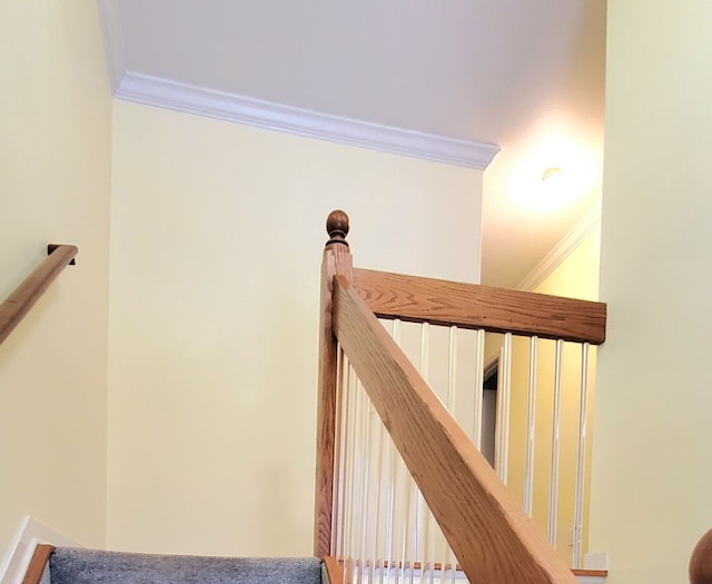 staircase with crown molding