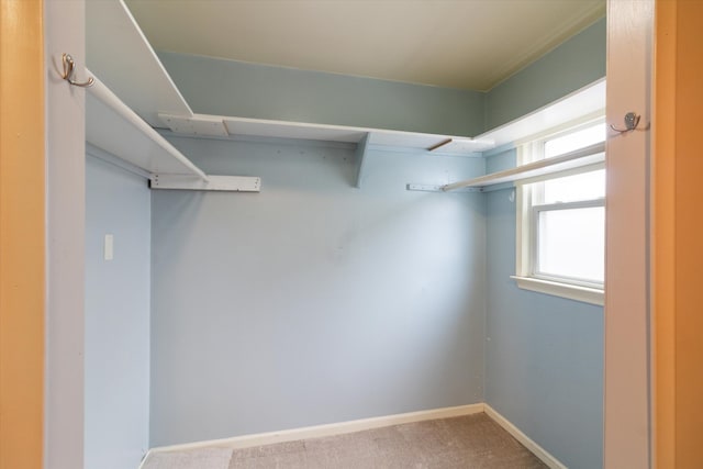 spacious closet with carpet floors