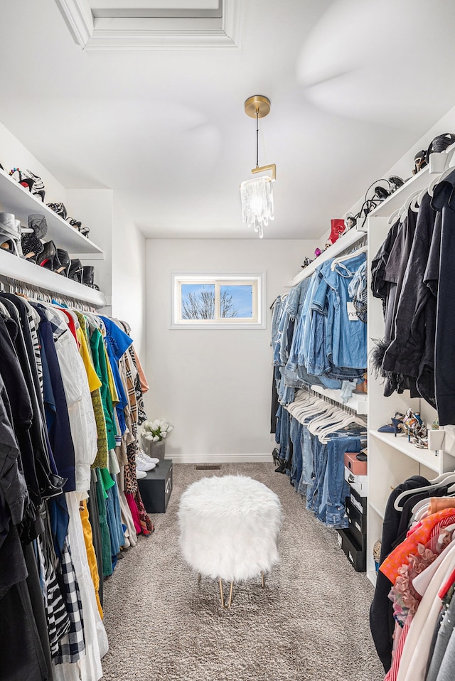 walk in closet featuring carpet and a notable chandelier