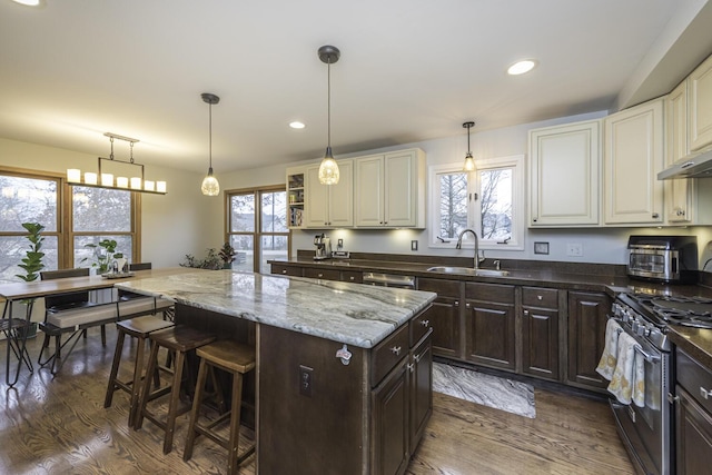 1085 Melrose Ct, Saline, MI 48176 - kitchen with stainless steel appliances, a center island, a sink, dark brown cabinets, and plenty of natural light