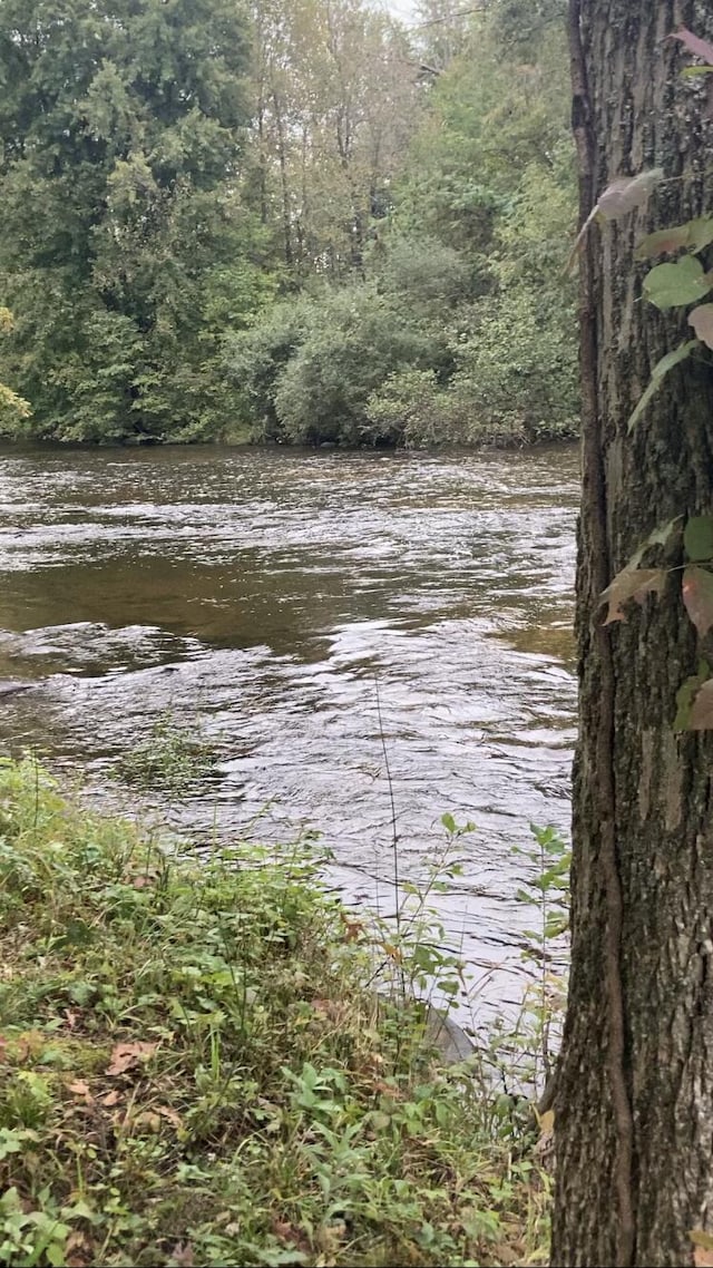 property view of water featuring a forest view