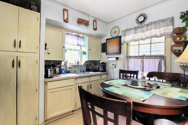 kitchen with light wood finished floors, tasteful backsplash, light countertops, and a sink