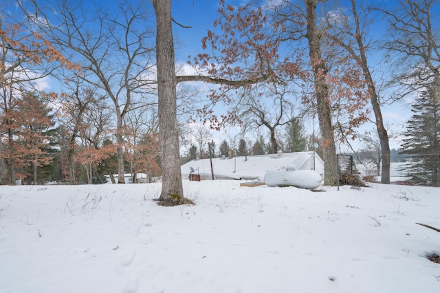 view of yard layered in snow