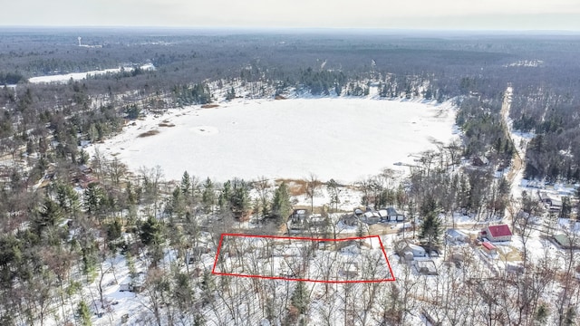 snowy aerial view featuring a forest view