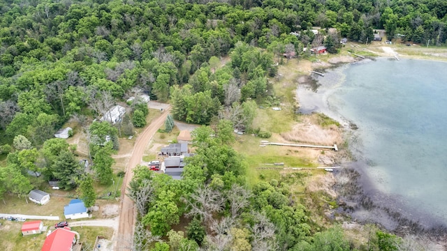 4643 W Unora Park Dr, Baldwin, MI 49304 - photo 44