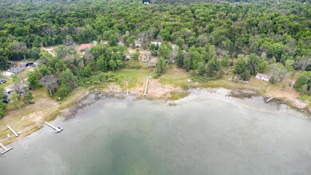 4643 W Unora Park Dr, Baldwin, MI 49304 - photo 8