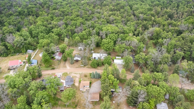 4643 W Unora Park Dr, Baldwin, MI 49304 - photo 45