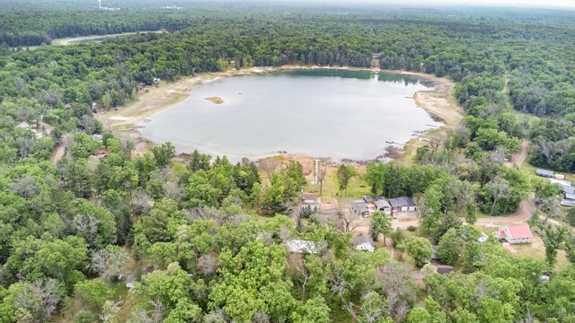 4643 W Unora Park Dr, Baldwin, MI 49304 - photo 47