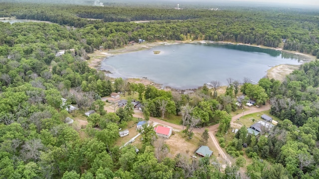 4643 W Unora Park Dr, Baldwin, MI 49304 - photo 48