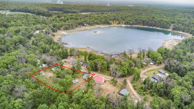 4643 W Unora Park Dr, Baldwin, MI 49304 - photo 49