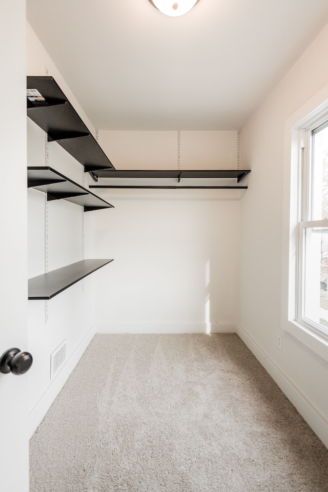 walk in closet with visible vents and carpet flooring