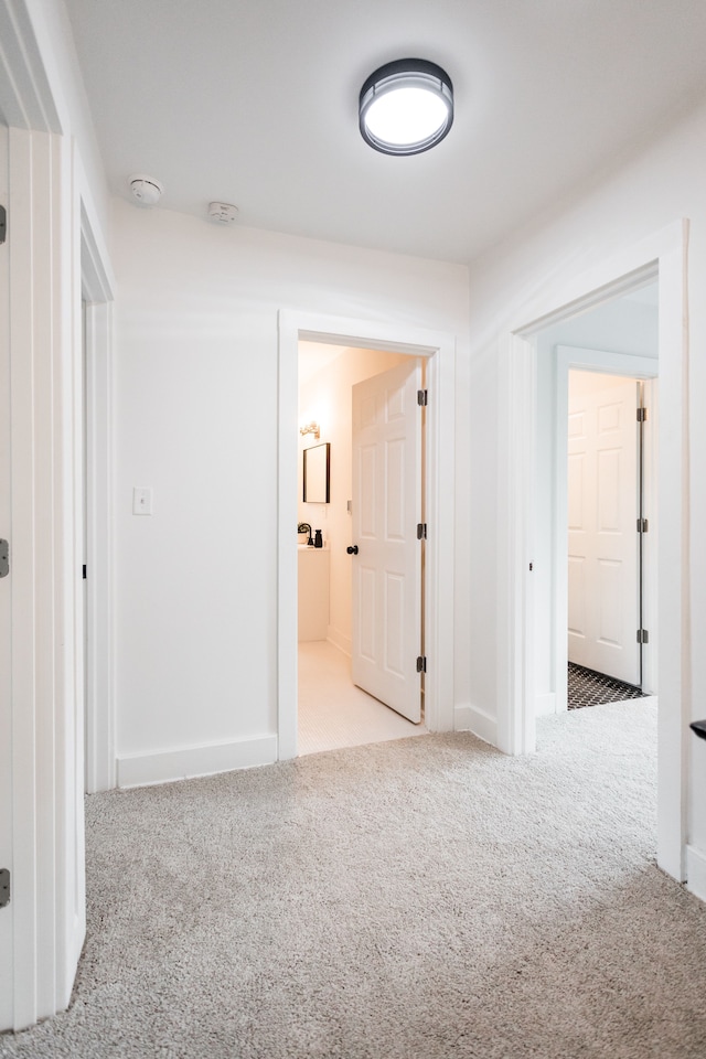 hallway featuring carpet