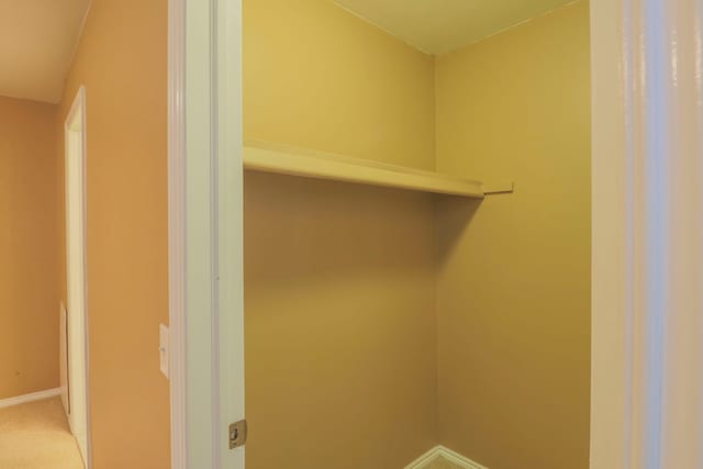 view of closet