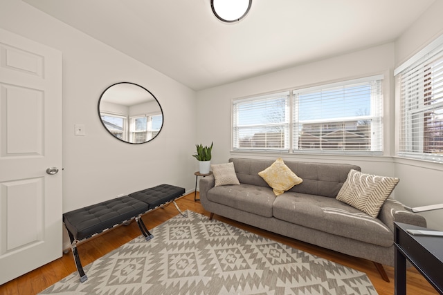 living room with lofted ceiling, a wealth of natural light, and light wood-style flooring