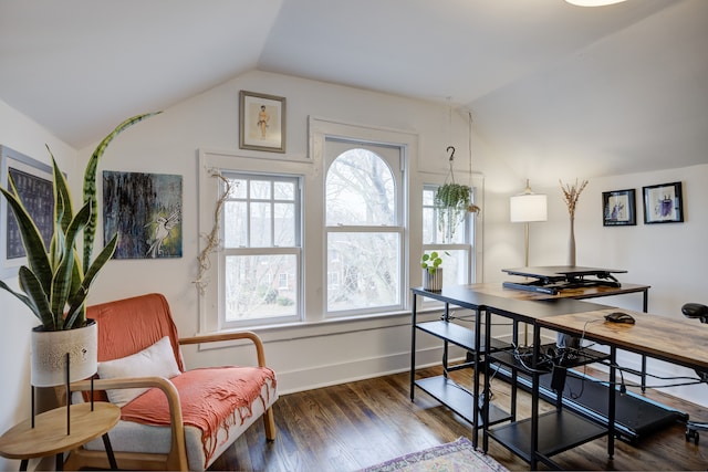 interior space featuring plenty of natural light, baseboards, vaulted ceiling, and wood finished floors