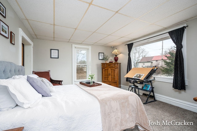 bedroom featuring carpet floors, a paneled ceiling, multiple windows, and baseboards