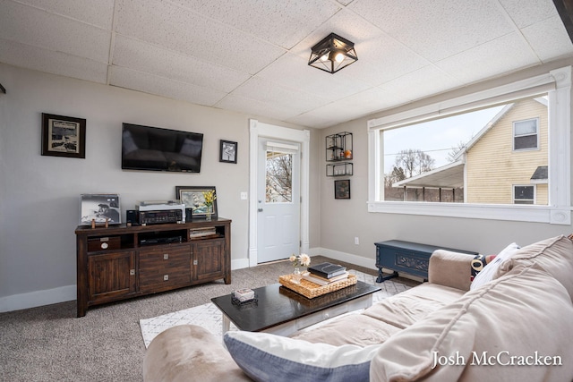 living area with carpet, baseboards, and a drop ceiling