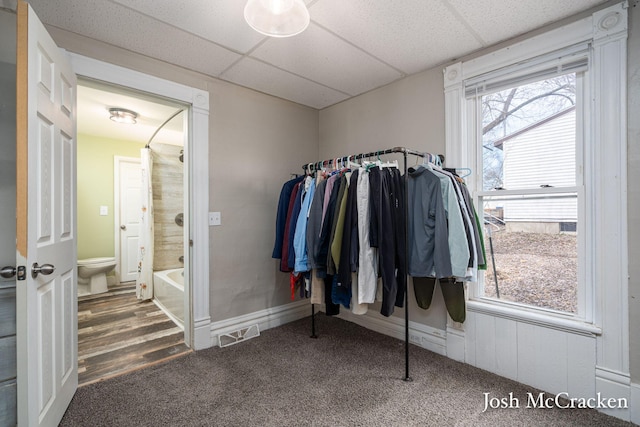 walk in closet featuring visible vents, carpet, and a paneled ceiling