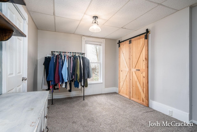 interior space with carpet, a barn door, and a drop ceiling