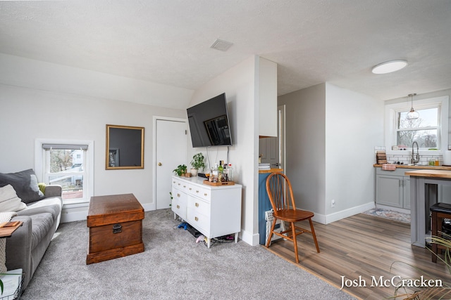 living area featuring visible vents, baseboards, and wood finished floors