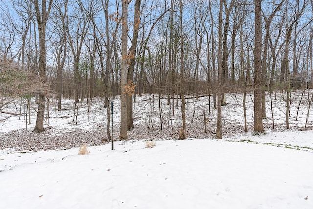 view of snowy yard