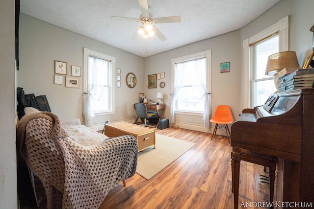 living area featuring ceiling fan, a textured ceiling, plenty of natural light, and light wood-style floors