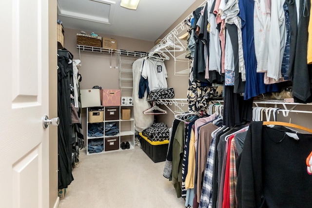 spacious closet featuring carpet floors and attic access