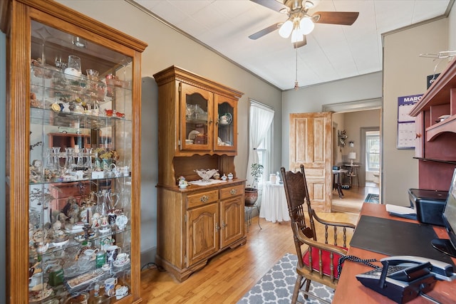 home office featuring ornamental molding, light wood finished floors, and a ceiling fan