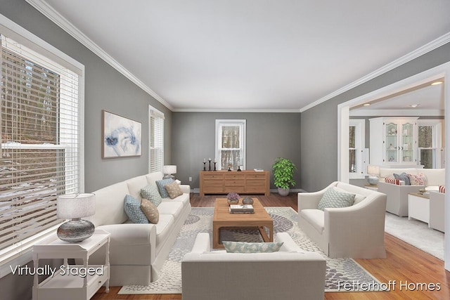 living area with baseboards, wood finished floors, and crown molding