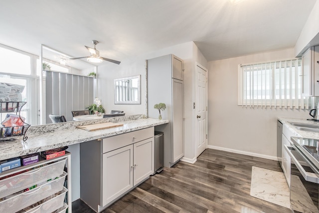 kitchen featuring plenty of natural light, baseboards, dark wood finished floors, and a sink