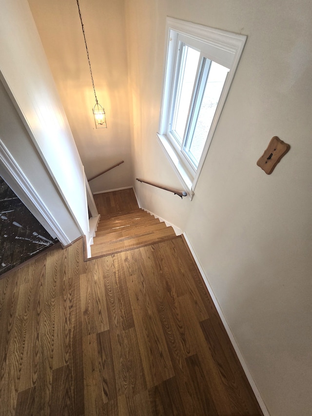 7993 Church Rd, Grosse Ile, MI 48138 - stairs featuring wood finished floors