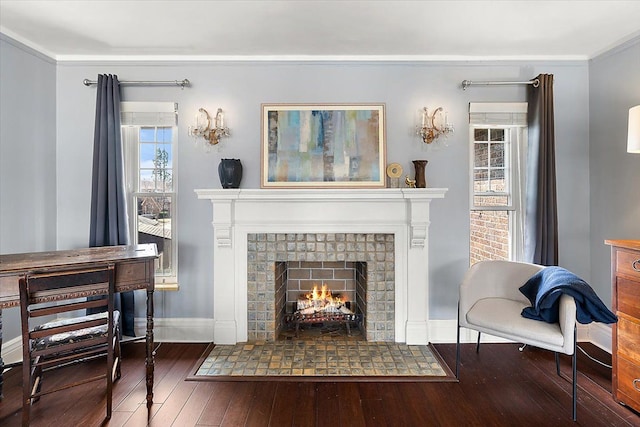 living area featuring a wealth of natural light, a warm lit fireplace, baseboards, and wood-type flooring