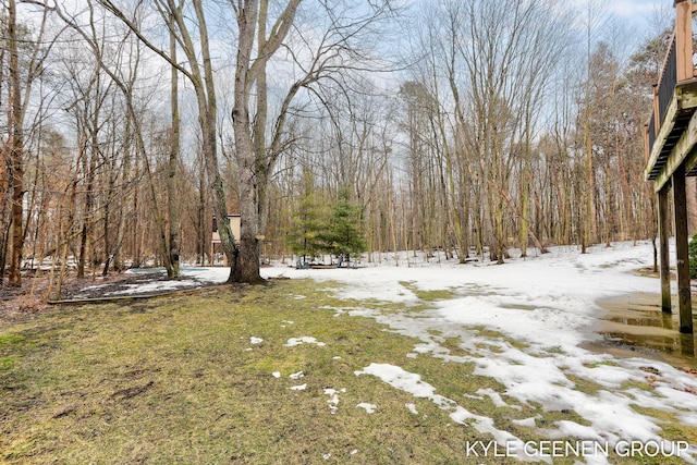 view of yard with a wooded view