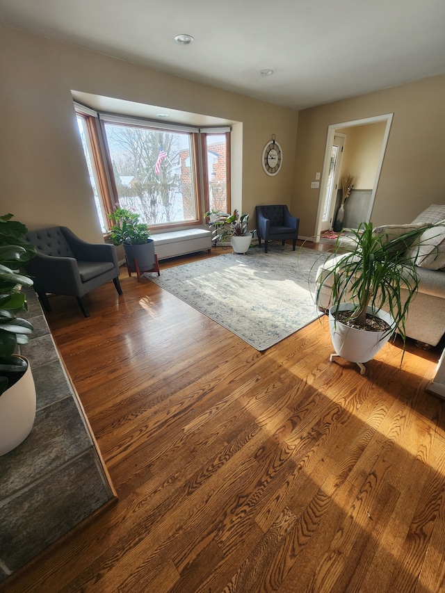 living area with wood finished floors