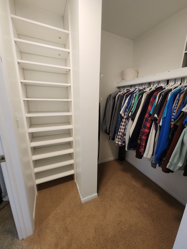 walk in closet featuring carpet flooring