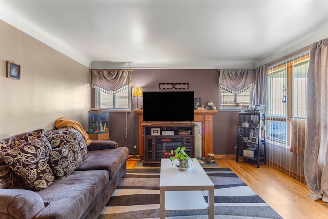 living area with wood finished floors and a glass covered fireplace