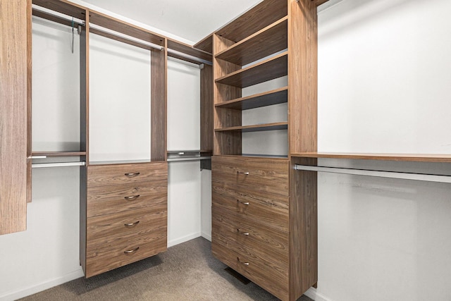 walk in closet featuring dark colored carpet