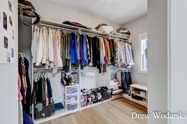 walk in closet featuring wood finished floors