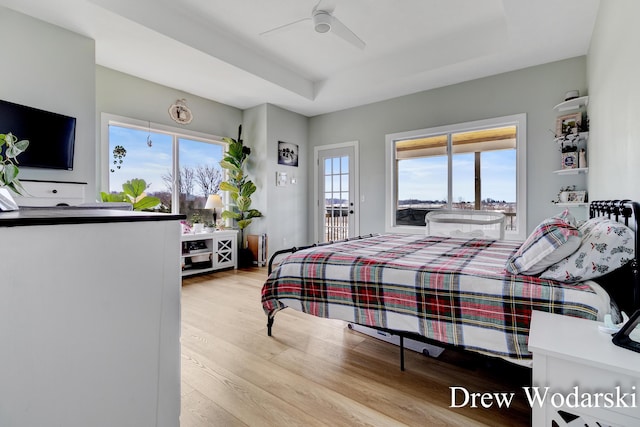 bedroom featuring a tray ceiling, access to outside, multiple windows, and wood finished floors