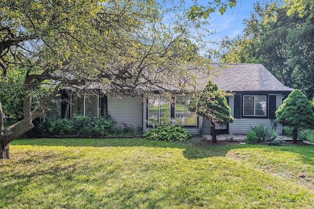 view of property hidden behind natural elements with a shingled roof and a front yard