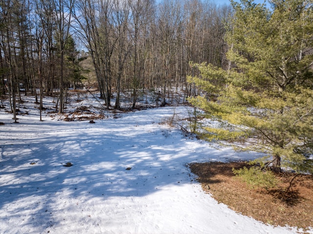 view of yard covered in snow