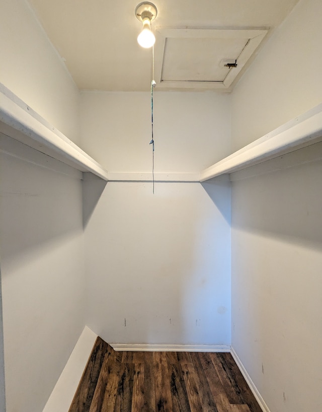 walk in closet with wood finished floors