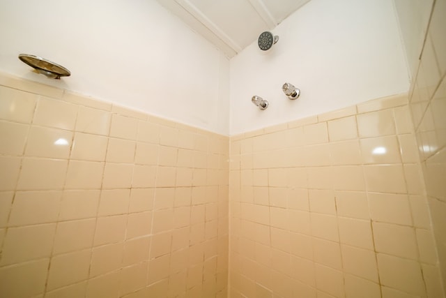 room details with a tile shower