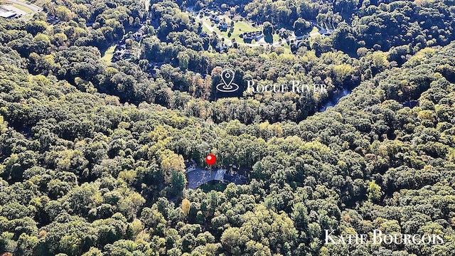 aerial view with a wooded view