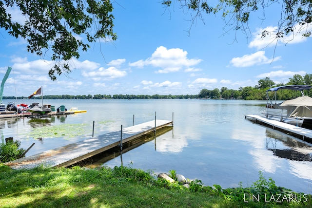 dock area with a water view